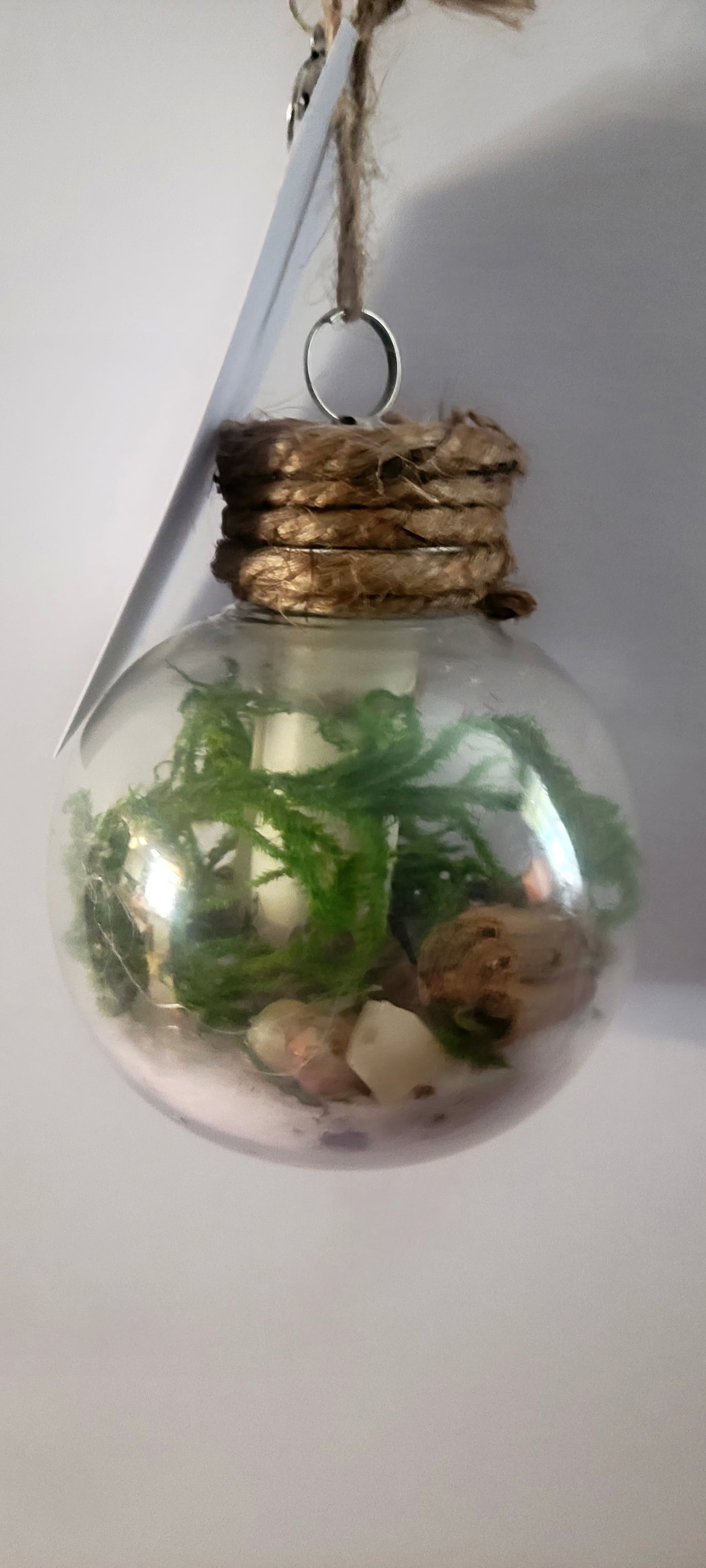 Scented Intent Orb Prosperity & Success Siren’s Song